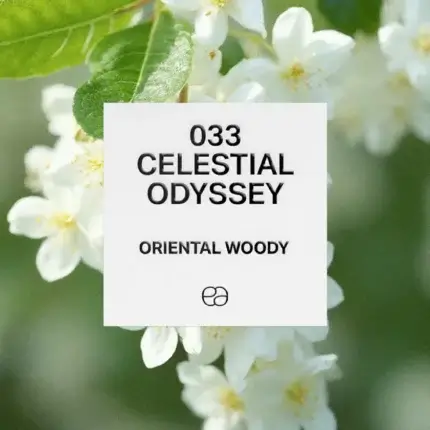 033 Celestial Odyssey 1