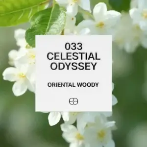 033 Celestial Odyssey
