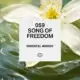 059 Song of freedom 1