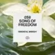 059 Song of freedom