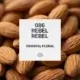 086 Rebel Rebel 1