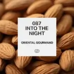 087 Into The Night 1