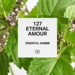 127 Eternal Love 1