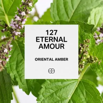 127 Eternal Love 1