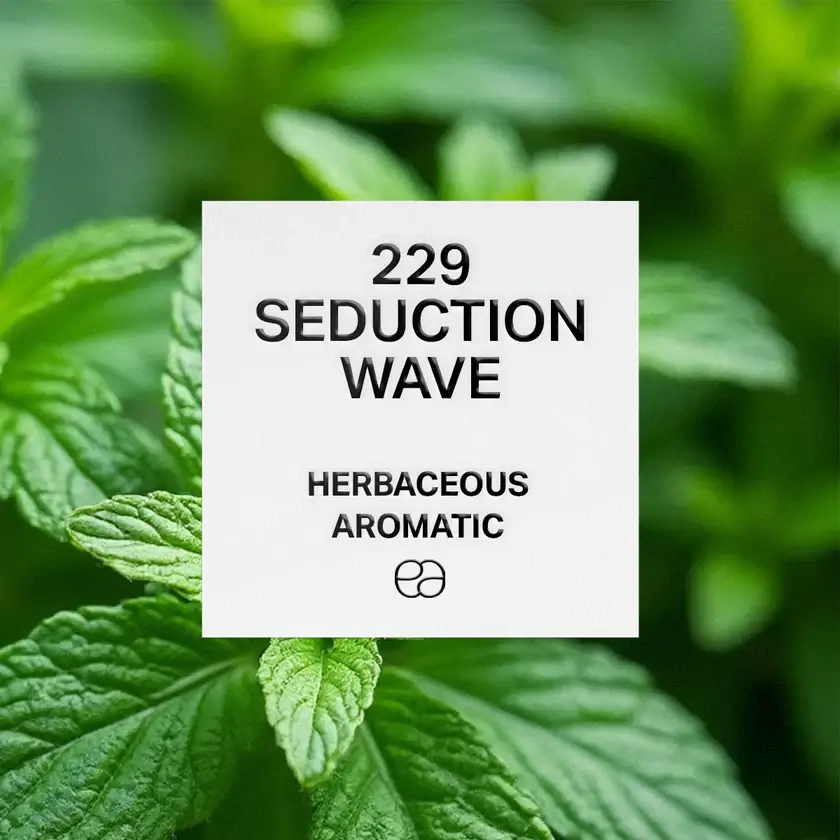 229 Seduction Wave 1 229 Seduction Wave