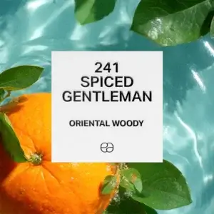 241 Spiced Gentleman 1