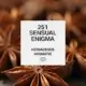 251 Sensual Enigma 1