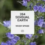 264 Sensual Earth 1