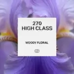 270 High Class 1