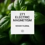 271 Electric Magnetism 1