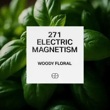 271 Electric Magnetism 1