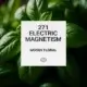 271 Electric Magnetism 1