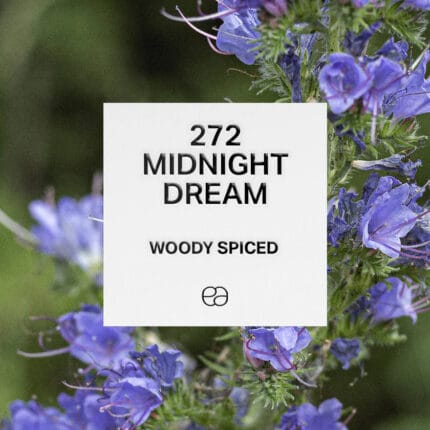272 Midnight Dream 1