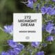 272 Midnight Dream 1