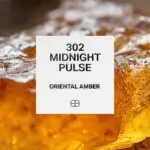 302 Midnight Pulse 1