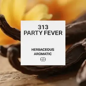 313 Party Fever