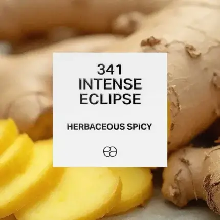 341 Intense Eclipse 1