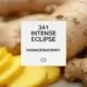 341 Intense Eclipse 1
