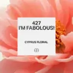 427 I'm Fabulous