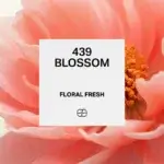 439 Blossom