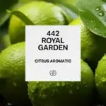 442 Royal Garden