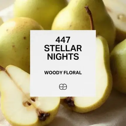 447 Stellar Nights 1