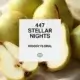 447 Stellar Nights 1
