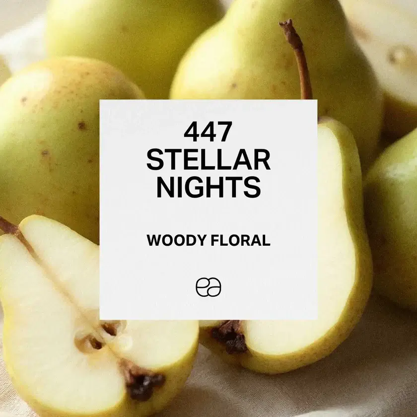 447 Stellar Nights 1 447 Stellar Nights 1