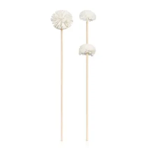 Duo pompom diffusion rods 1