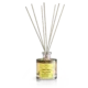 Mikado Classic Cologne 2