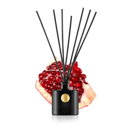 Mikado Les Secrets Grenade Rouge 1