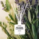 Mikado Relaxing Lavender (Lavender and Rosemary) 1