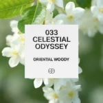 033 Celestial Odyssey