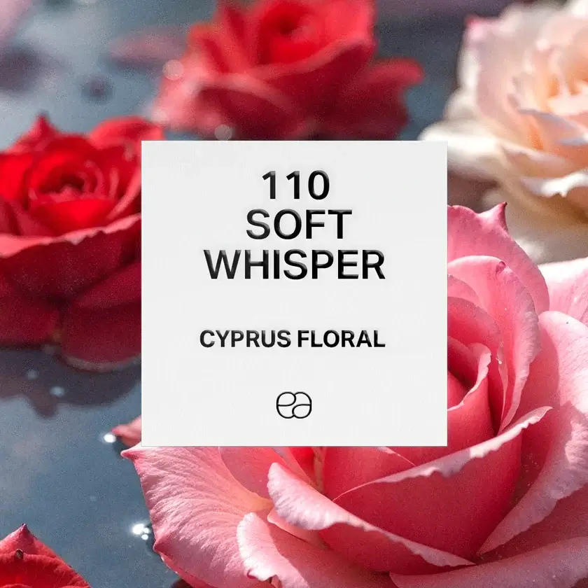 110-Soft-Whisper-1.webp 110 Soft Whisper - Image 1