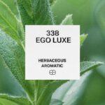 338 Ego Luxe