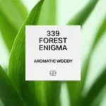 339 Forest Enigma