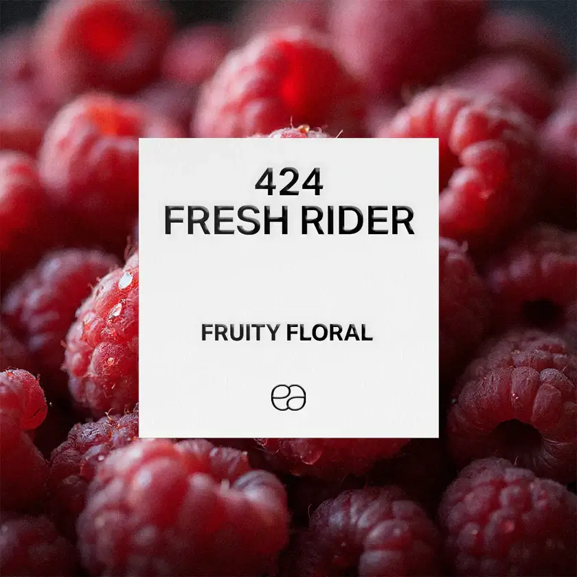 424-Fresh-Rider-1.webp 424 Fresh Rider - Image 1