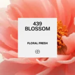 439 Blossom