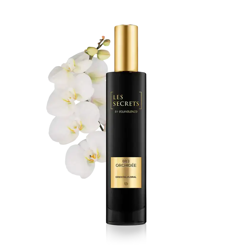 883-Orchidee-1.webp 883 Orchidée - Image 1